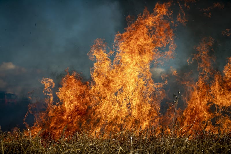 Avezzano: CC Forestali arrestano presunto responsabile di alcuni incendi boschivi